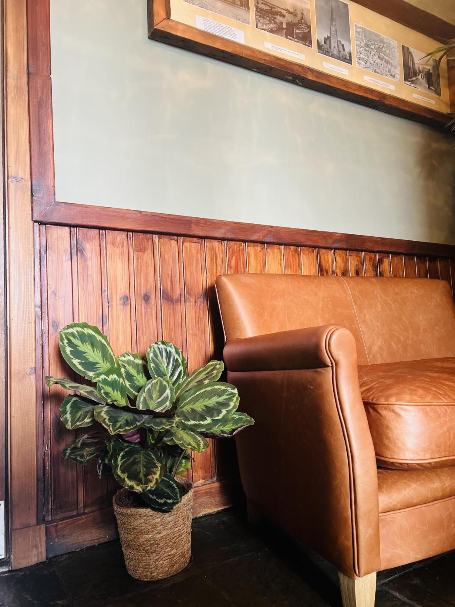 Tuckers Inn Invergordon Zewnętrze zdjęcie